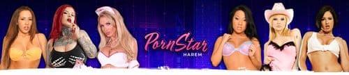 Pornstar Harem